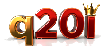 q20i